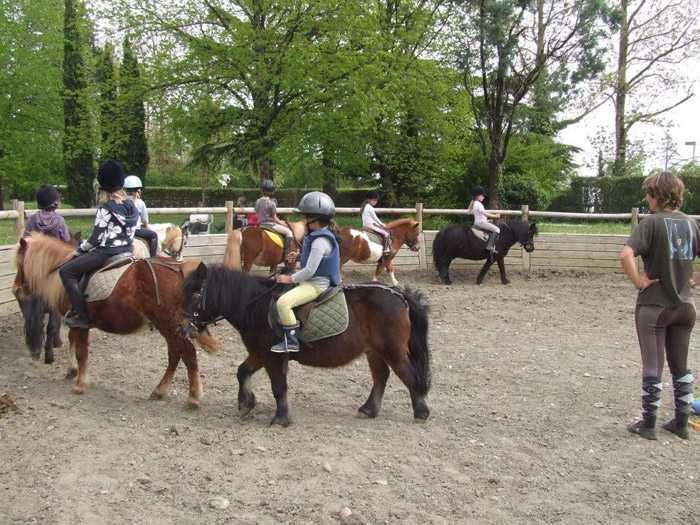 Résultat de recherche d'images pour "Club Hippique du Vigoulet-Auzil"